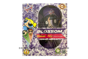 Blossom (Violet Toy Fountain)